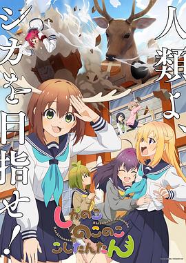 平衡法则